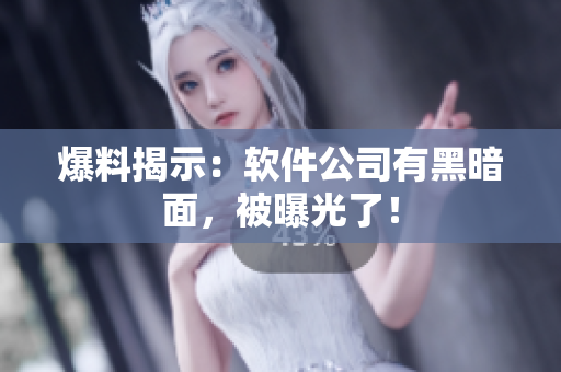爆料揭示：软件公司有黑暗面，被曝光了！