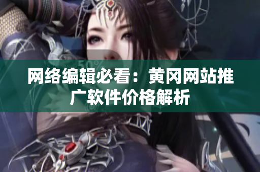 网络编辑必看：黄冈网站推广软件价格解析