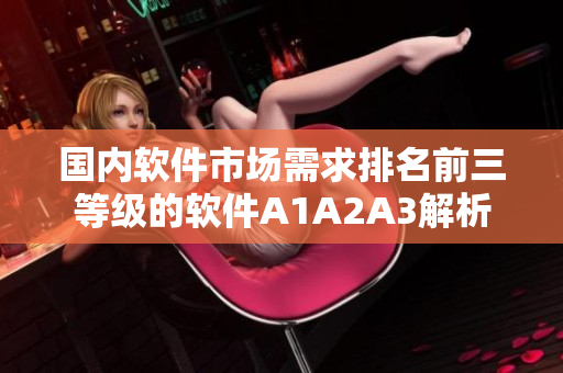 国内软件市场需求排名前三等级的软件A1A2A3解析