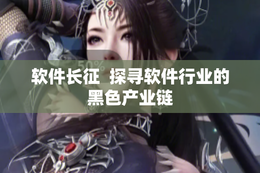 软件长征  探寻软件行业的黑色产业链