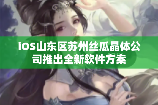 iOS山东区苏州丝瓜晶体公司推出全新软件方案