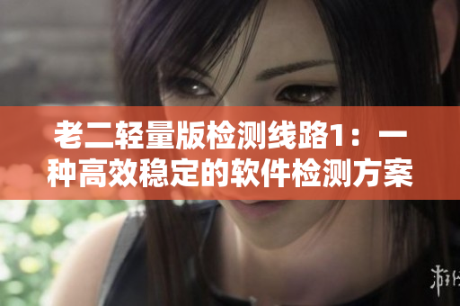 老二轻量版检测线路1：一种高效稳定的软件检测方案
