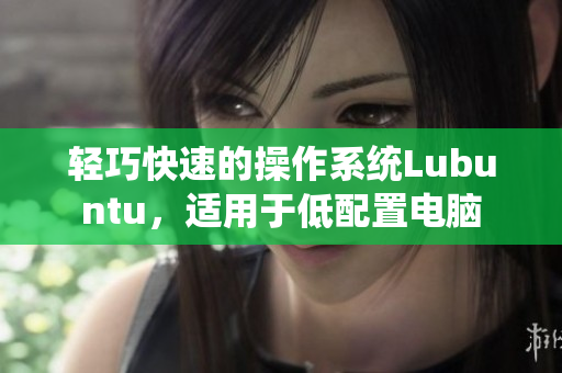 轻巧快速的操作系统Lubuntu，适用于低配置电脑