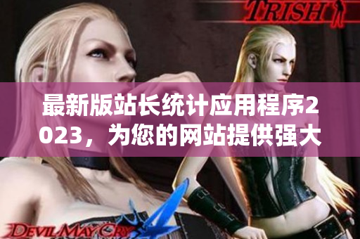 最新版站长统计应用程序2023，为您的网站提供强大的数据管理功能