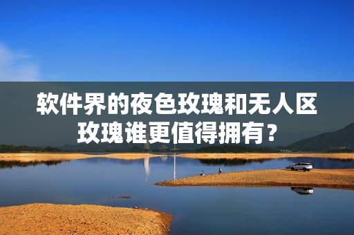 软件界的夜色玫瑰和无人区玫瑰谁更值得拥有？
