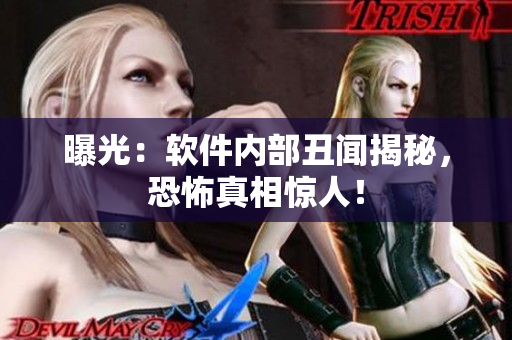 曝光：软件内部丑闻揭秘，恐怖真相惊人！
