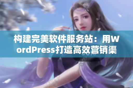 构建完美软件服务站：用WordPress打造高效营销渠道