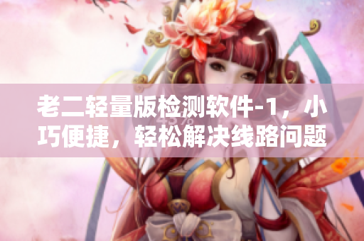 老二轻量版检测软件-1，小巧便捷，轻松解决线路问题