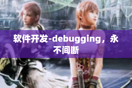 软件开发-debugging，永不间断