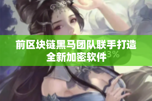 前区块链黑马团队联手打造全新加密软件