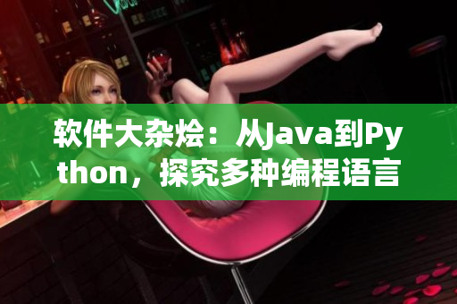 软件大杂烩：从Java到Python，探究多种编程语言在实践中的优劣