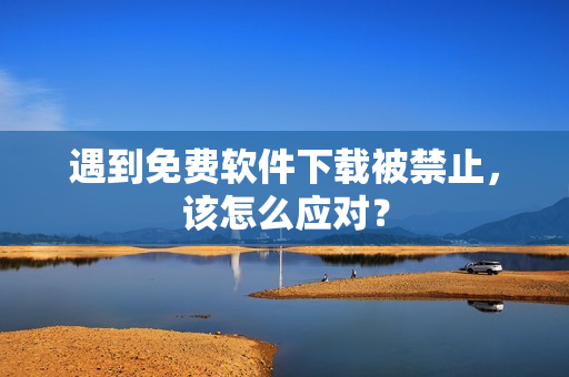 遇到免费软件下载被禁止，该怎么应对？