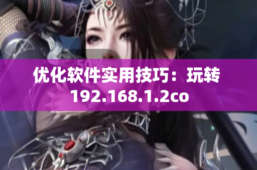 优化软件实用技巧：玩转 192.168.1.2co