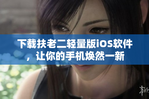 下载扶老二轻量版iOS软件，让你的手机焕然一新