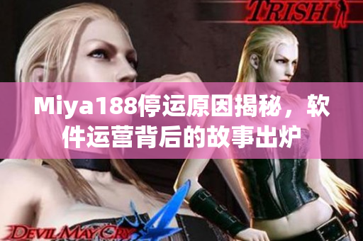 Miya188停运原因揭秘，软件运营背后的故事出炉