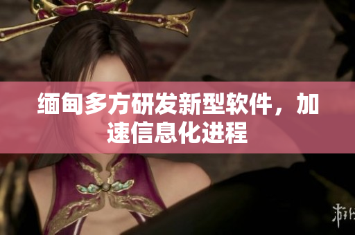 缅甸多方研发新型软件，加速信息化进程