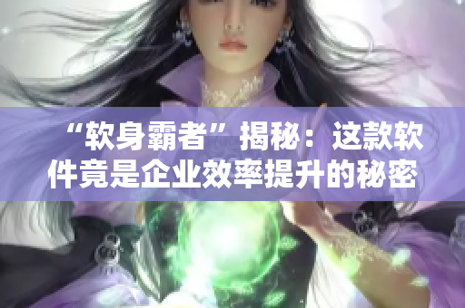 “软身霸者”揭秘：这款软件竟是企业效率提升的秘密武器！