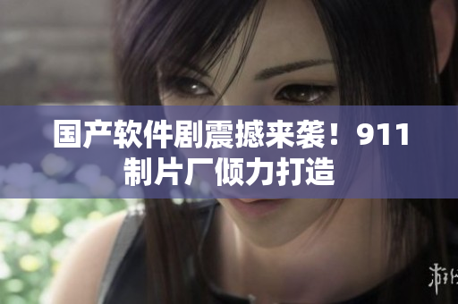 国产软件剧震撼来袭！911制片厂倾力打造