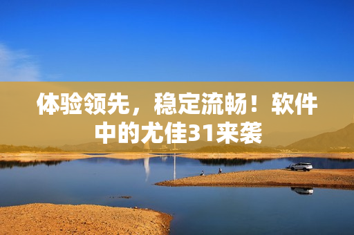 体验领先，稳定流畅！软件中的尤佳31来袭