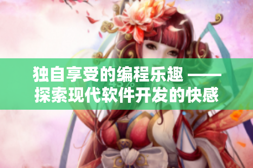 独自享受的编程乐趣 ——探索现代软件开发的快感