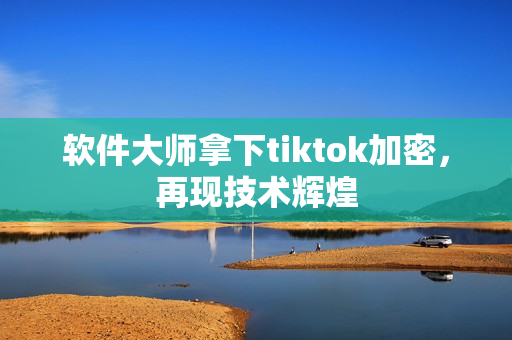 软件大师拿下tiktok加密，再现技术辉煌