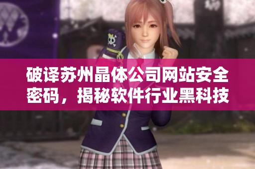 破译苏州晶体公司网站安全密码，揭秘软件行业黑科技