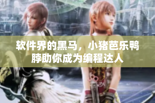 软件界的黑马，小猪芭乐鸭脖助你成为编程达人