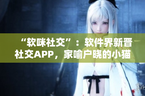 “软咪社交”：软件界新晋社交APP，家喻户晓的小猫咪们也参加了！