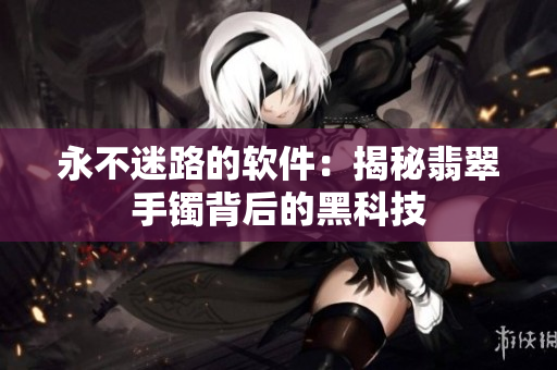 永不迷路的软件：揭秘翡翠手镯背后的黑科技