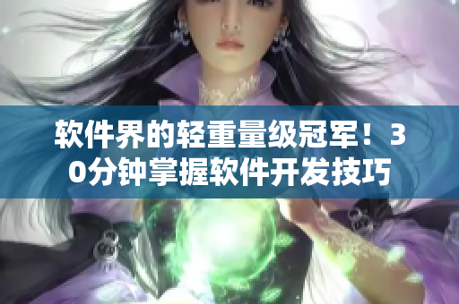 软件界的轻重量级冠军！30分钟掌握软件开发技巧