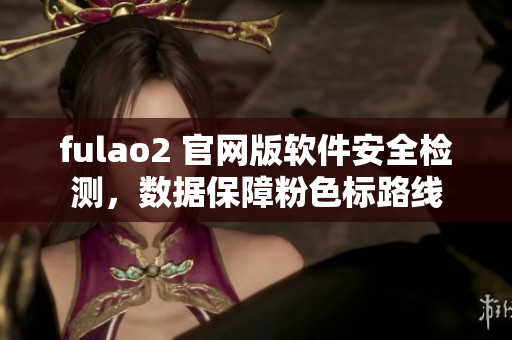 fulao2 官网版软件安全检测，数据保障粉色标路线