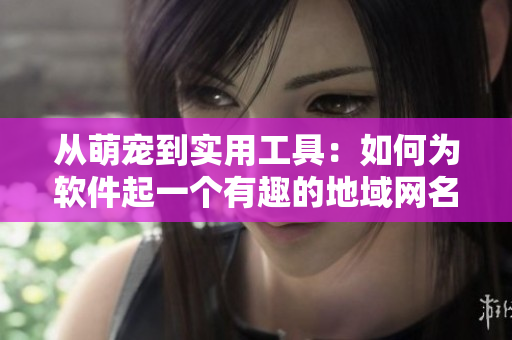 从萌宠到实用工具：如何为软件起一个有趣的地域网名