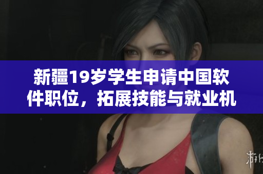 新疆19岁学生申请中国软件职位，拓展技能与就业机会