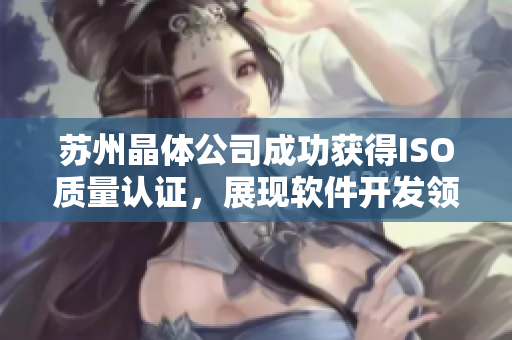 苏州晶体公司成功获得ISO质量认证，展现软件开发领域的实力