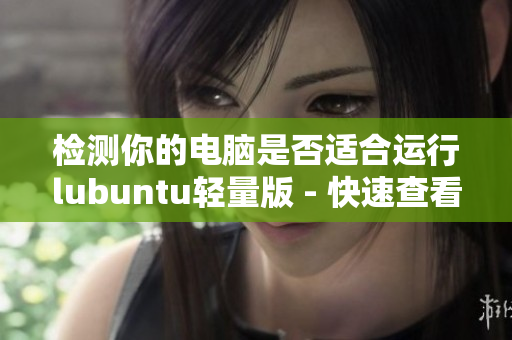 检测你的电脑是否适合运行lubuntu轻量版 - 快速查看广告兼容性