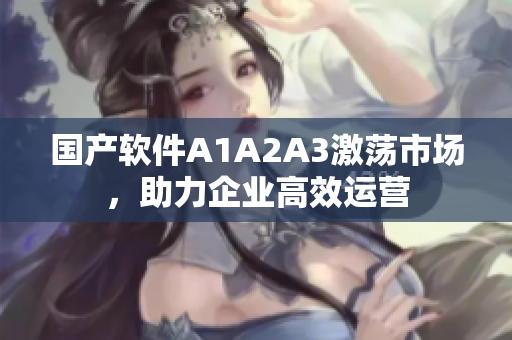 国产软件A1A2A3激荡市场，助力企业高效运营