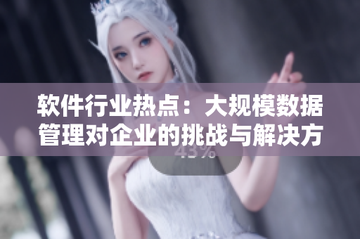 软件行业热点：大规模数据管理对企业的挑战与解决方案