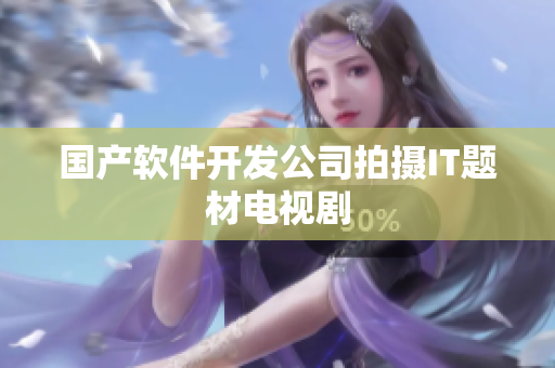 国产软件开发公司拍摄IT题材电视剧