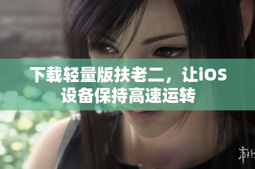 下载轻量版扶老二，让iOS设备保持高速运转