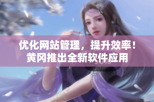 优化网站管理，提升效率！黄冈推出全新软件应用