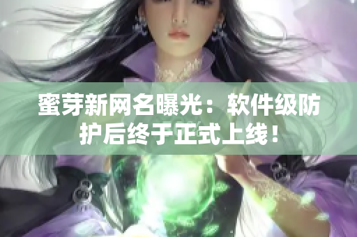 蜜芽新网名曝光：软件级防护后终于正式上线！