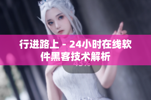 行进路上 - 24小时在线软件黑客技术解析