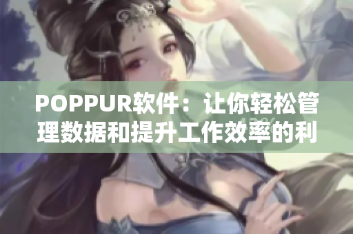 POPPUR软件：让你轻松管理数据和提升工作效率的利器