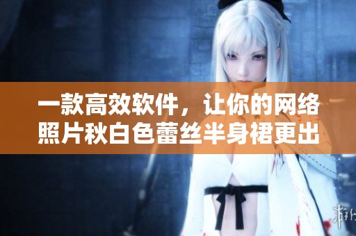 一款高效软件，让你的网络照片秋白色蕾丝半身裙更出彩！