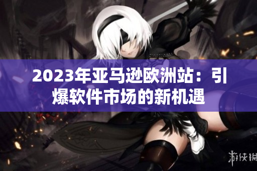 2023年亚马逊欧洲站：引爆软件市场的新机遇