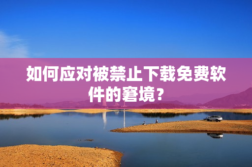 如何应对被禁止下载免费软件的窘境？