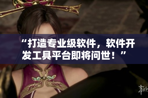 “打造专业级软件，软件开发工具平台即将问世！”