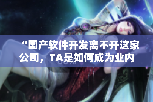 “国产软件开发离不开这家公司，TA是如何成为业内龙头”的新闻特写
