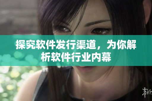 探究软件发行渠道，为你解析软件行业内幕