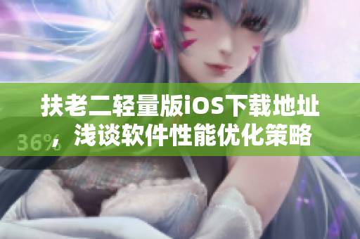 扶老二轻量版iOS下载地址，浅谈软件性能优化策略